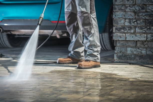 Best Paint Preparation  in Geneva, FL
