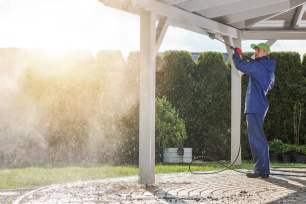 Best Spring Cleaning  in Geneva, FL