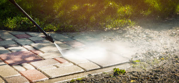 Animal Enclosure Cleaning in Geneva, FL