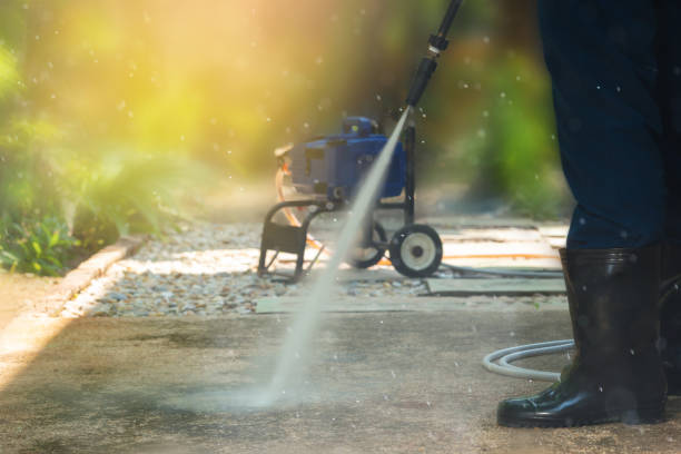Best Animal Enclosure Cleaning  in Geneva, FL